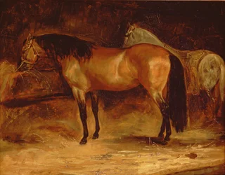 Bay Horse seimessä, harmaa hevonen matolla