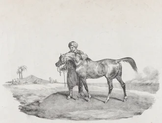 Arabian hevonen, 1821