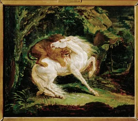 Cheval attaque par un lion - hevonen, jonka kimppuun leijona hyökkää, Laurien etsauksen ja George Stubbsin maalauksen mukaan ...