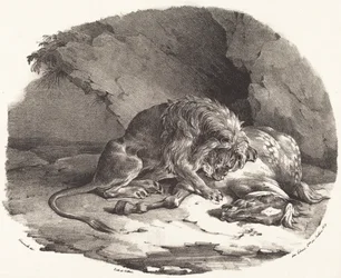 Leijonan syömä hevonen (Cheval devore par un lion)