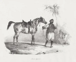Egyptiläinen tamma (An Egyptian Mare)
