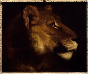 Theodore Gericaultin (1791-1824) leijonanpäämaalaus 1800-luvun aurinko. 0,55x0,65 m Pariisi, Musee du Louvre. - Leijonan pää. Theodore Gericaultin (1791-1824) maalaus