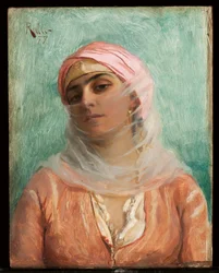 Nuori ottomaanit, 1879