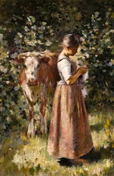 Vacheressa, n. 1888.