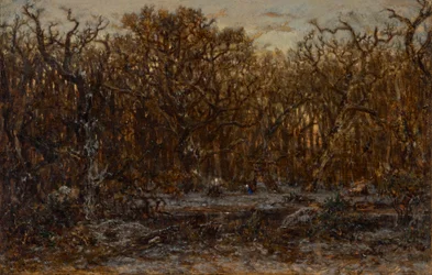 Metsä auringonlaskun aikaan talvella