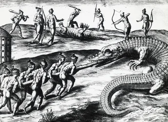 Krokotiilin metsästys Floridassa Jacques le Moyne de Morguesin (noin 1533-ennen 1588) maalauksesta, Theodor de Bry (1528-1598). kaiverrus