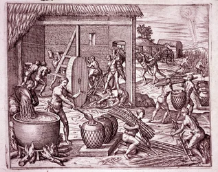 Amerikan historia: sokeriruo