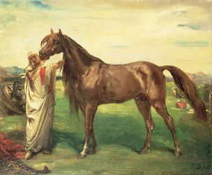 Hadji, arabialainen ori, 1853