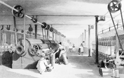 Carding, Drawing and Roving, kaiverrus J. Carter