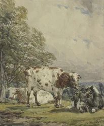 Tutkimus karjasta, 1800-luku