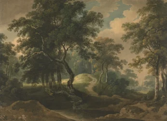 Metsän maisema