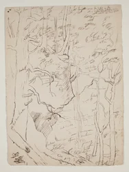 Kaaterskill Falls, n. 1801-48 (kynä ja ruskea muste)