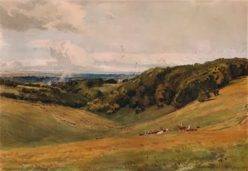 Arundel Park, peuran kanssa, 1880