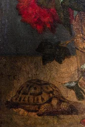 Bouquet de fleurs, yksityiskohta : tortue, noin 1862 tai 1871 (Öljy kankaalle)