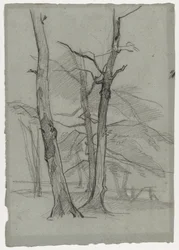 Maisematutkimus puiden kanssa, n. 1870-1875.