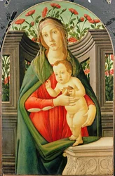 Italialainen maisema mäntyjen kanssa