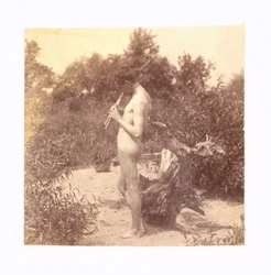 Pysyvä Piper Study for Arcadia, n. 1883.