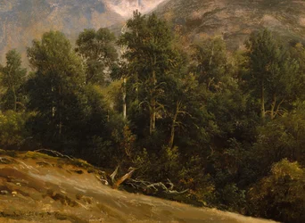 Metsä Romsdalissa