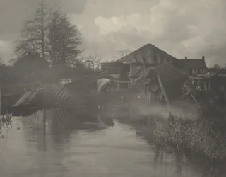 Norfolkin venetelakka,1886 (kuva)