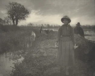 Suon heinän polkeminen,1886 (kuva)