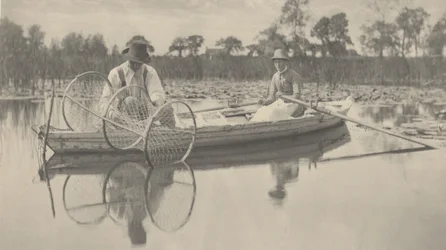 Keulaverkon asettaminen,1886 (kuva)