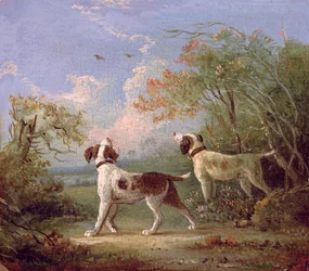 Spanielit maisemassa