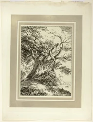 Old Tree, Specimens of Polyautography -lehden ensimmäisestä numerosta