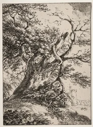 Polyautografian näytteet: Maisema tammen kanssa, 1803.
