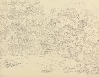 Puut Ashtead Parkissa, Surreyssa