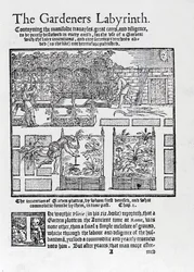 Lehtimaja, joka on rakennettu varjoksi aurinkoa vasten ja istutettu korotettuihin penkkeihin, Gardeners Labyrinth, 1577