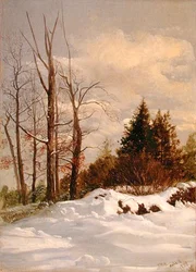 Catskill talvimaisema