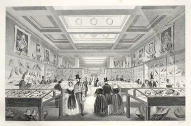 British Museum, Zoological Gallery, "London Interiors with their Costumes and Ceremonies" -pubista. Joseph Mead, Lontoo, n.1843 (teräskaiverrus)