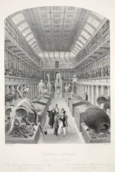 Hunterian Museum, Royal College of Surgeons, "London Interiors with their Costumes and Ceremonies" -pubista. Joseph Mead, Lontoo, n.1843 (teräskaiverrus)
