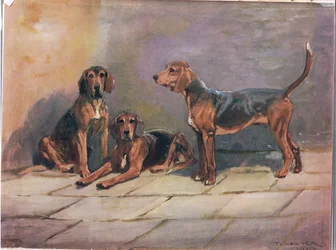 Koirat, kuvitus kirjasta "Hounds"
