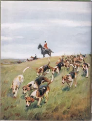 Ketunmetsästys, kuvitus teoksesta "Hounds"