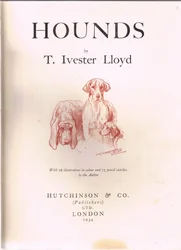 Houndsin etukappale