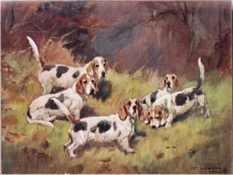 Odottaa, kuvitus kirjasta "Hounds"