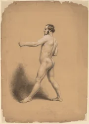 Jousimies, Alastontutkimus