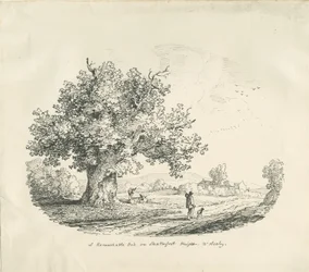 Arley - Shatterfort Height: litografia, 1839