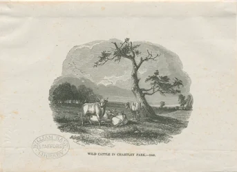 Chartley Hall - Park: puupiirros