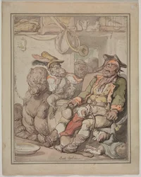 Vertaileva anatomiatutkimus