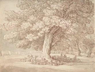 Peuroja tammen alla, 1775-1827.