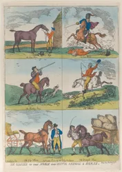 Kuusi luokkaa jaloa ja hyödyllistä eläintä hevonen, 10. lokakuuta 1811., 10. lokakuuta 1811.
