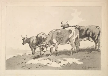 Kolme lehmää seisoo pellolla, 1784-87.