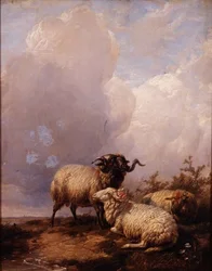 Lampaat maisemassa