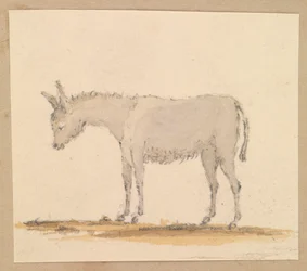 Aasitutkimus, noin 1820 (tussi, tussi, tussi, vesiväri).
