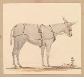 Aasitutkimus, jossa on aasi, jolla on suitset ja valjaat, noin 1820 (lyijykynä, ruskea ja harmaa tussi, paperi).