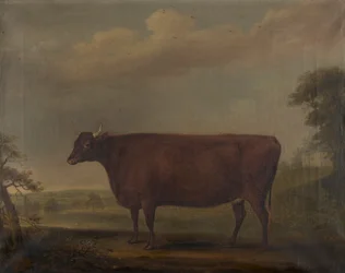 Punaiset devon-hiehot maisemassa, n. 1812 (öljy kankaalle)