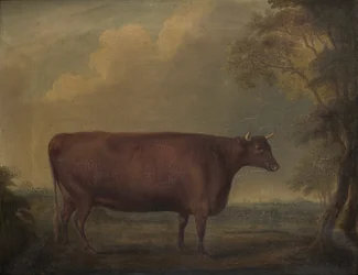 Punaiset devon-hiehot maisemassa, n. 1812 (öljy kankaalle)