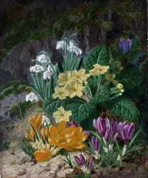 Kevätkukat (mukaan lukien krookukset ja esikot). Thomas Worseyn (1829-1875) maalaus Yksityiskokoelma.